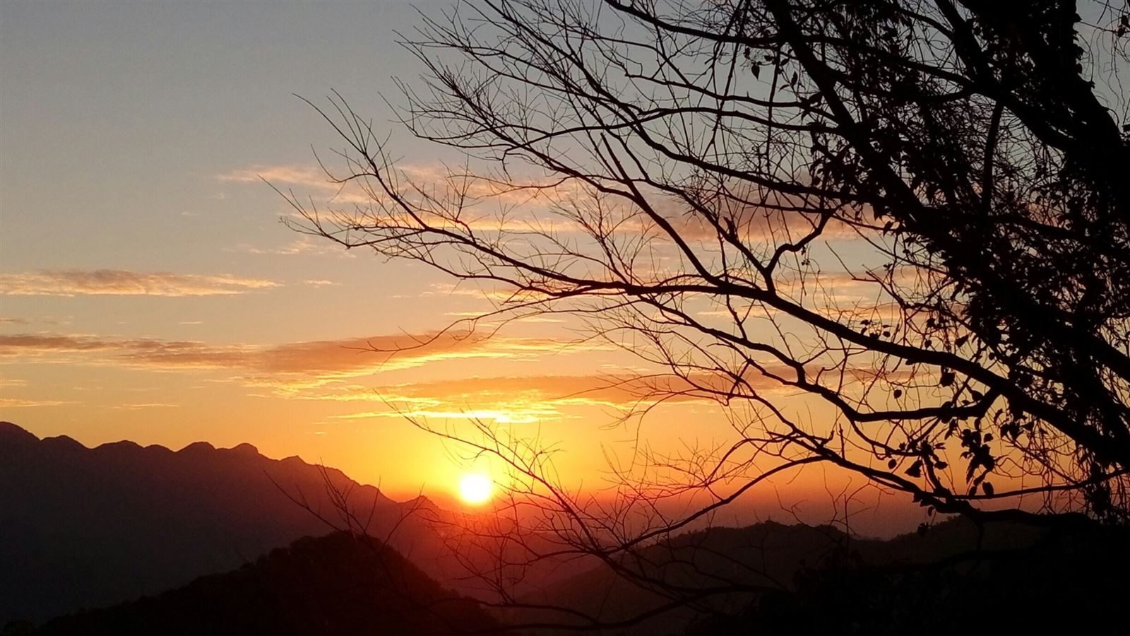 桃園版「靜音模式」啟動！東眼山國家森林遊樂區，一鍵切換森呼吸