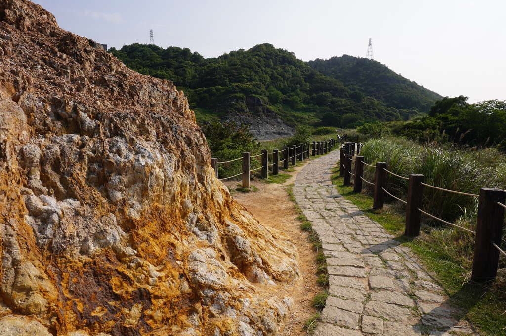 五座山，一段心旅：從雪霸「雲開見心」到阿里山「森」呼吸