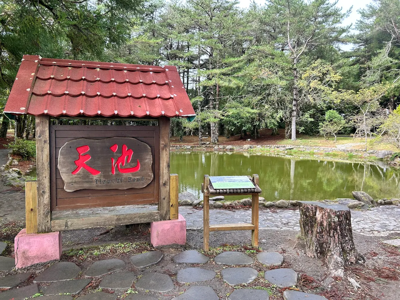 想暫時逃離城市、深呼吸一口高山清新空氣嗎？