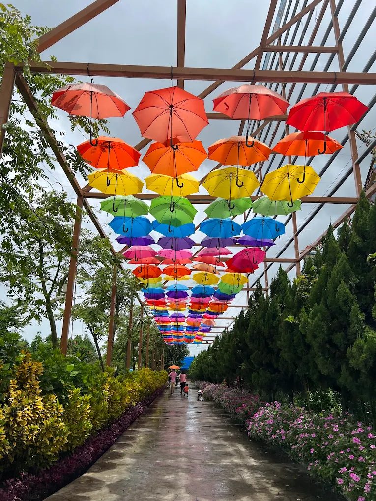 【嘉義民雄親子景點推薦】三隻小豬觀光農場：動物互動、遊樂設施、拍照打卡全攻略 🐷