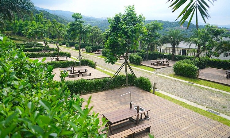 皇后鎮森林金山｜北海岸最夢幻露營基地，草地、風車車宿、手作與星空一站體驗