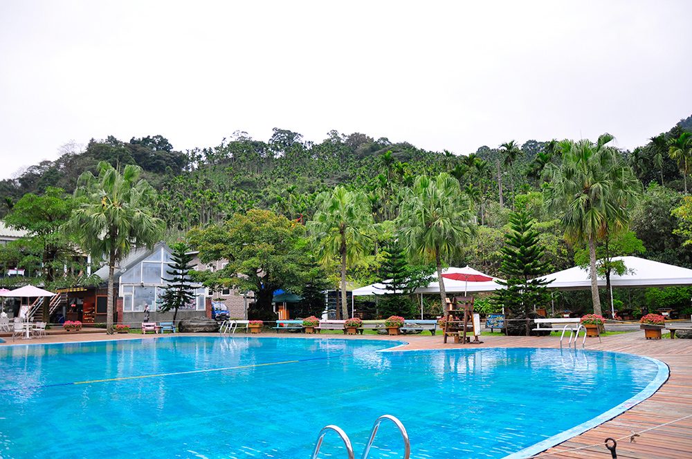 皇后鎮森林金山|星空下的夜晚景色