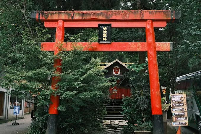 迷霧森林裡的奇幻小鎮，在妖怪與森林之間：溪頭最有故事的旅遊地圖