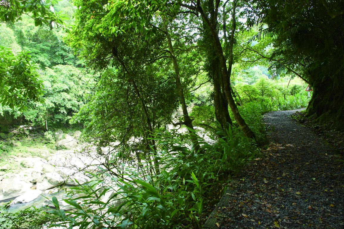 在新北淡蘭古道沿著溪水慢慢前行，從石碇到雙溪走進被森林包圍的古老山徑