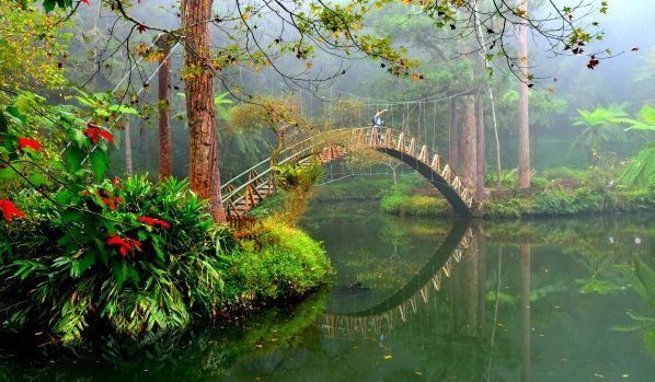 清晨的溪頭大學池，湖面如鏡倒映著竹拱橋與周圍的蒼翠森林，景色如詩如畫。