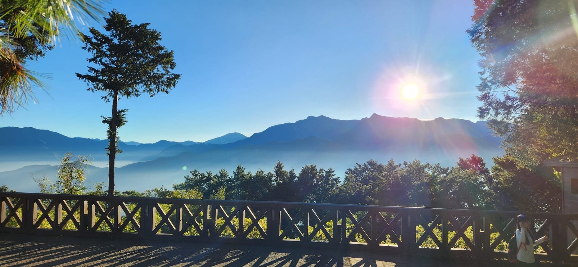 清晨走進壯麗的國家森林遊樂區，在浩瀚雲海與璀璨日出之間，慢慢遇見逐漸甦醒的絕美山林
