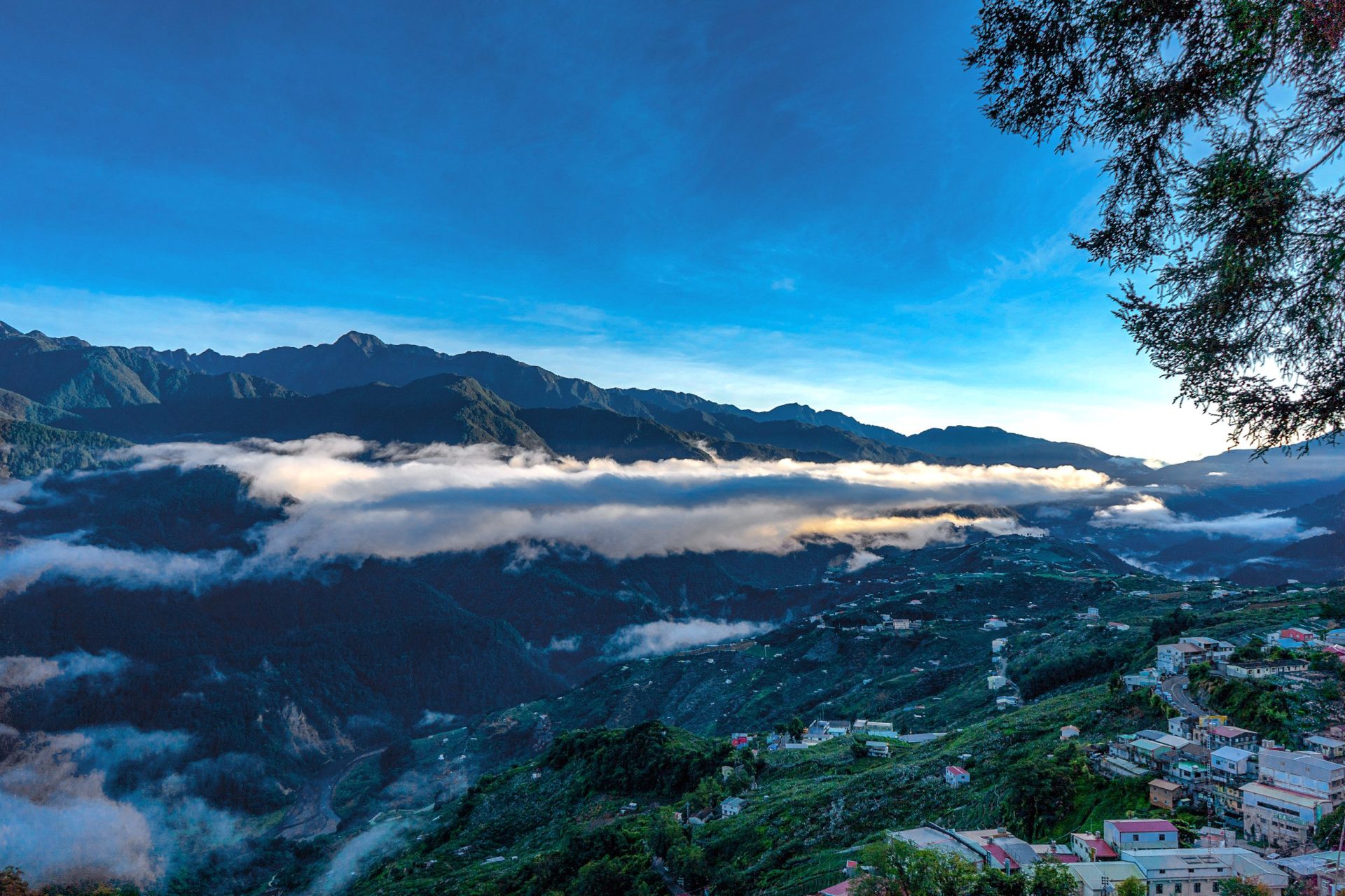 福壽山農場旅遊提案｜台中高山秘境，四季都有理由再訪的夢幻果園