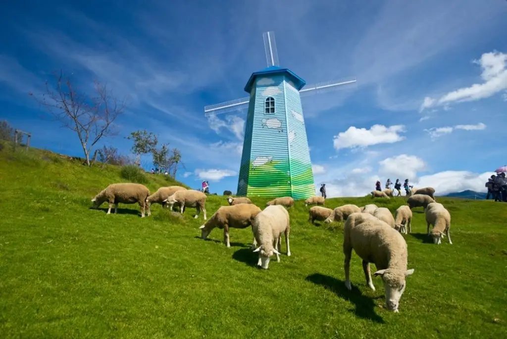 連假來一場忘憂之旅吧 清境農場國民賓館絕對是首選之一