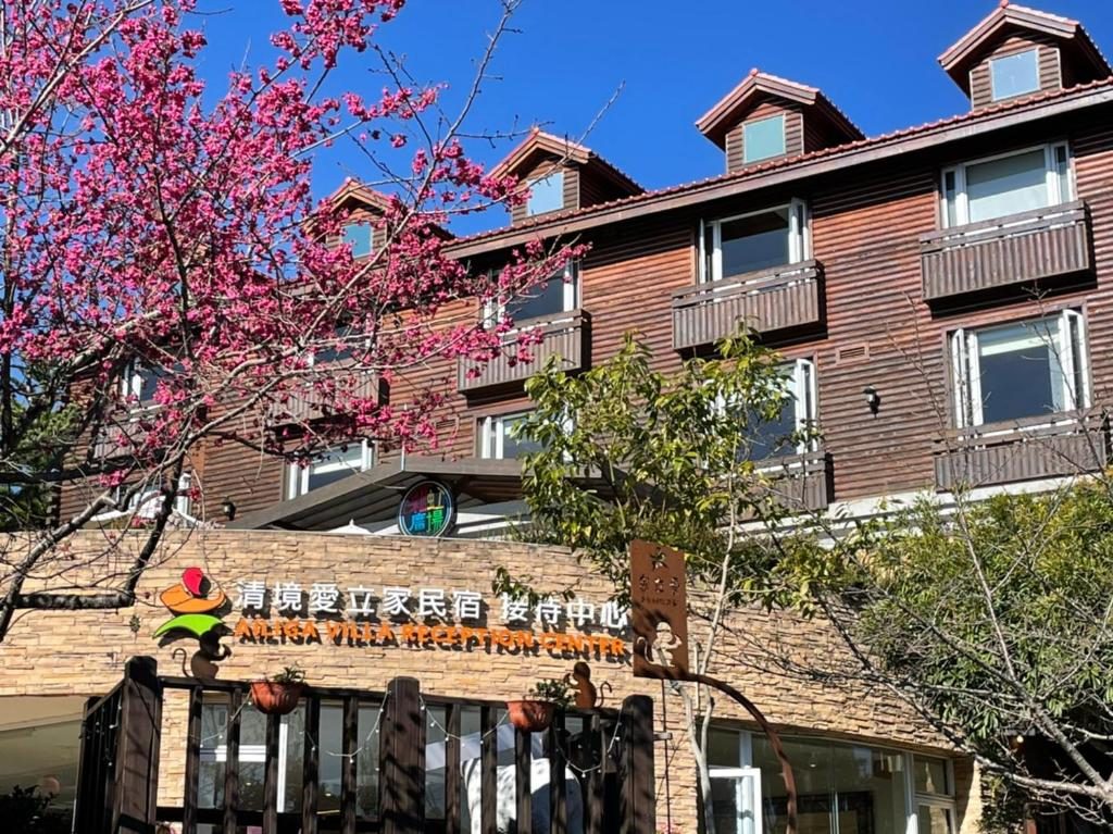 《今晚不上線，改連接星空》｜清境5間住進雲端的民宿，讓你一覺醒來被雲海包圍