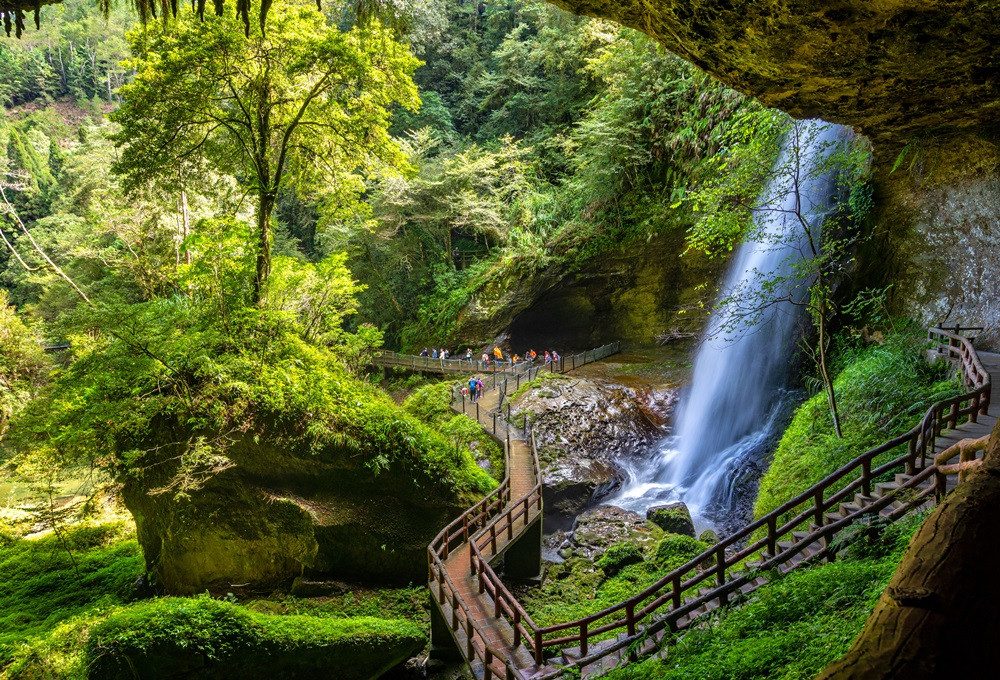 覺得溪頭太多人嗎 來杉林溪探索秘境吧