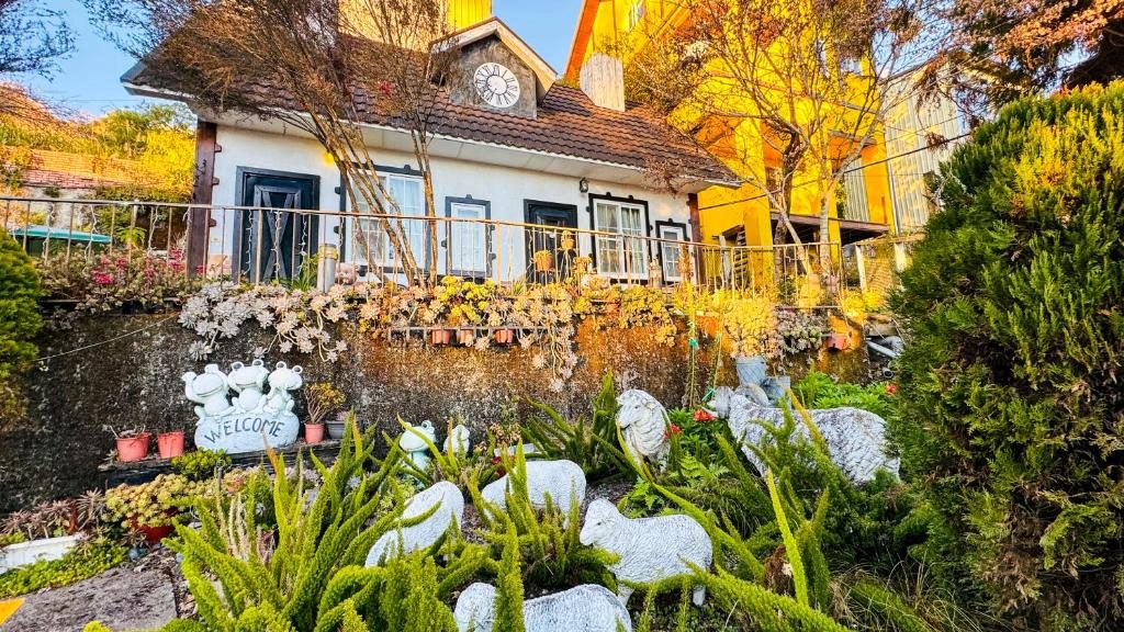 《今晚不上線，改連接星空》｜清境5間住進雲端的民宿，讓你一覺醒來被雲海包圍