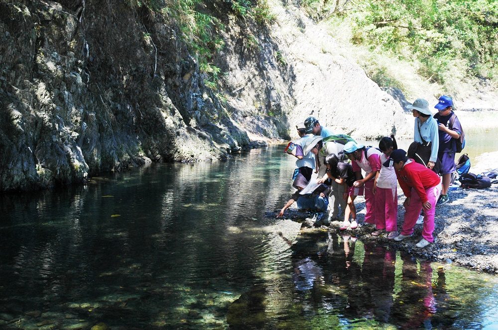 涉水區是大小朋友最愛的消暑勝地，水質純淨無染