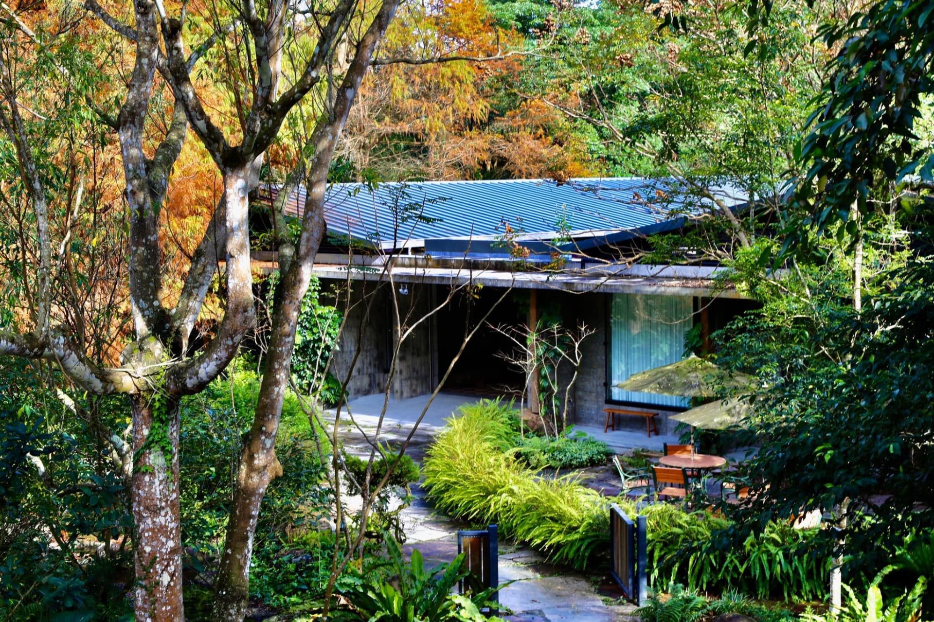 落羽松開啟濾鏡模式|宜蘭三富紫森林住一晚,連空氣都在發光