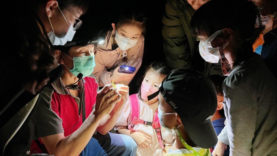 落羽松開啟濾鏡模式|宜蘭三富紫森林住一晚,連空氣都在發光