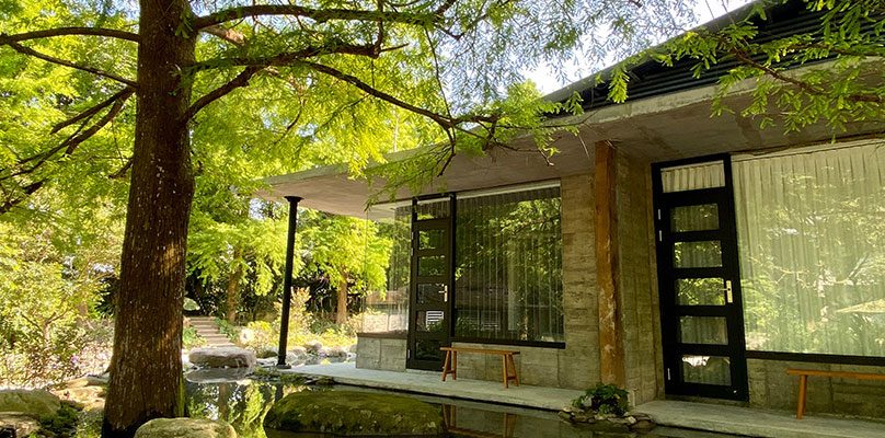 落羽松開啟濾鏡模式|宜蘭三富紫森林住一晚,連空氣都在發光