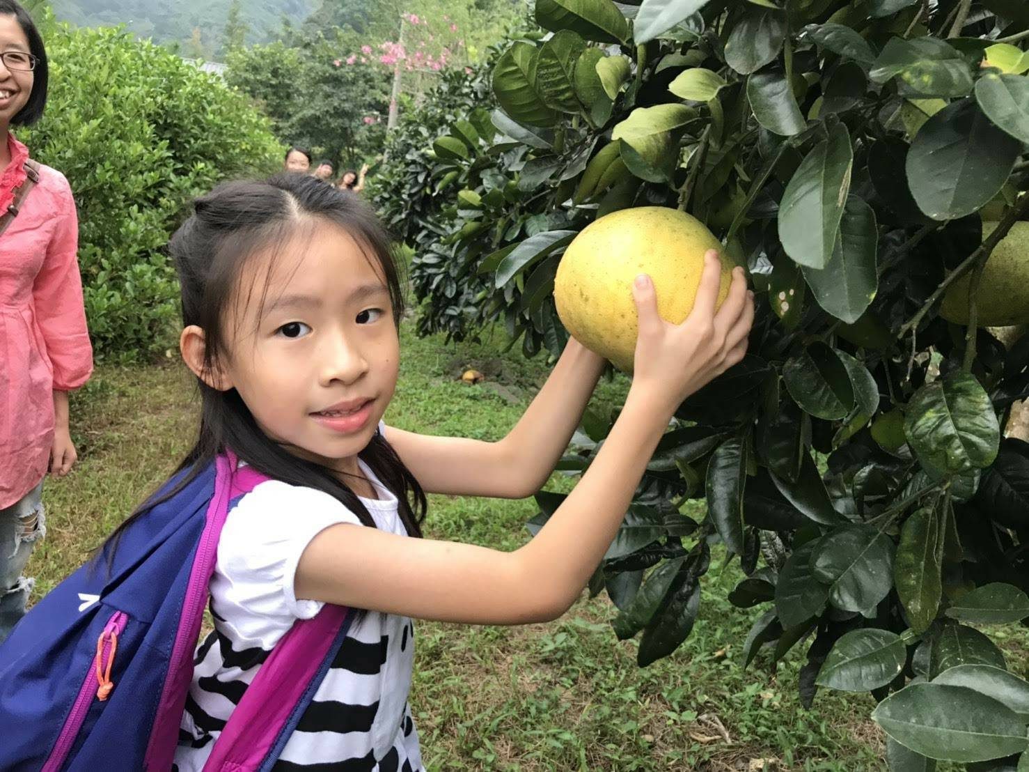 落羽松開啟濾鏡模式|宜蘭三富紫森林住一晚,連空氣都在發光