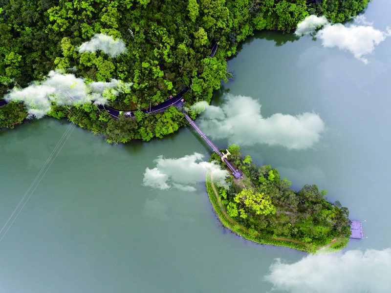 落羽松開啟濾鏡模式|宜蘭三富紫森林住一晚,連空氣都在發光