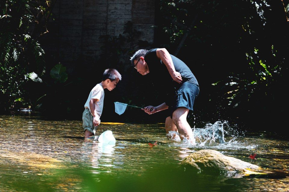 落羽松開啟濾鏡模式|宜蘭三富紫森林住一晚,連空氣都在發光