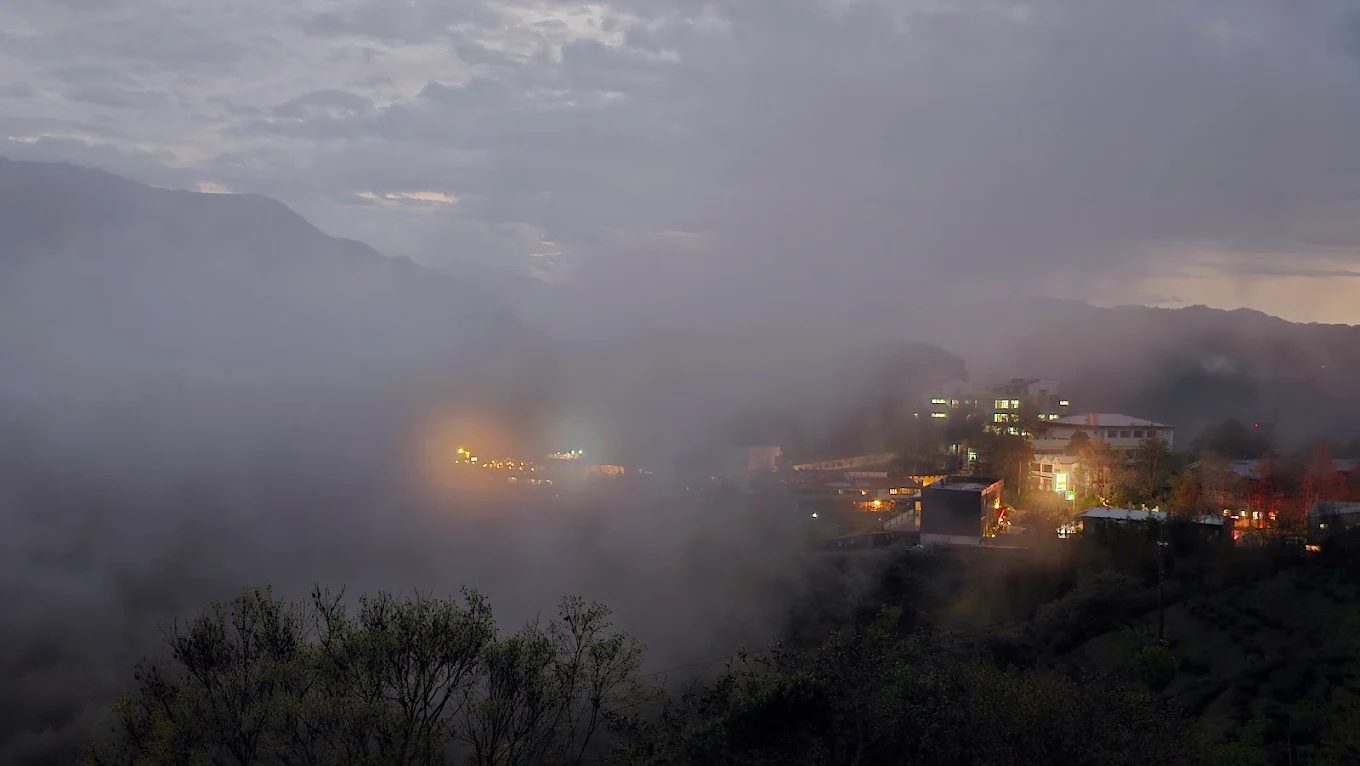 🌿 想逃離城市、換個地方深呼吸嗎？