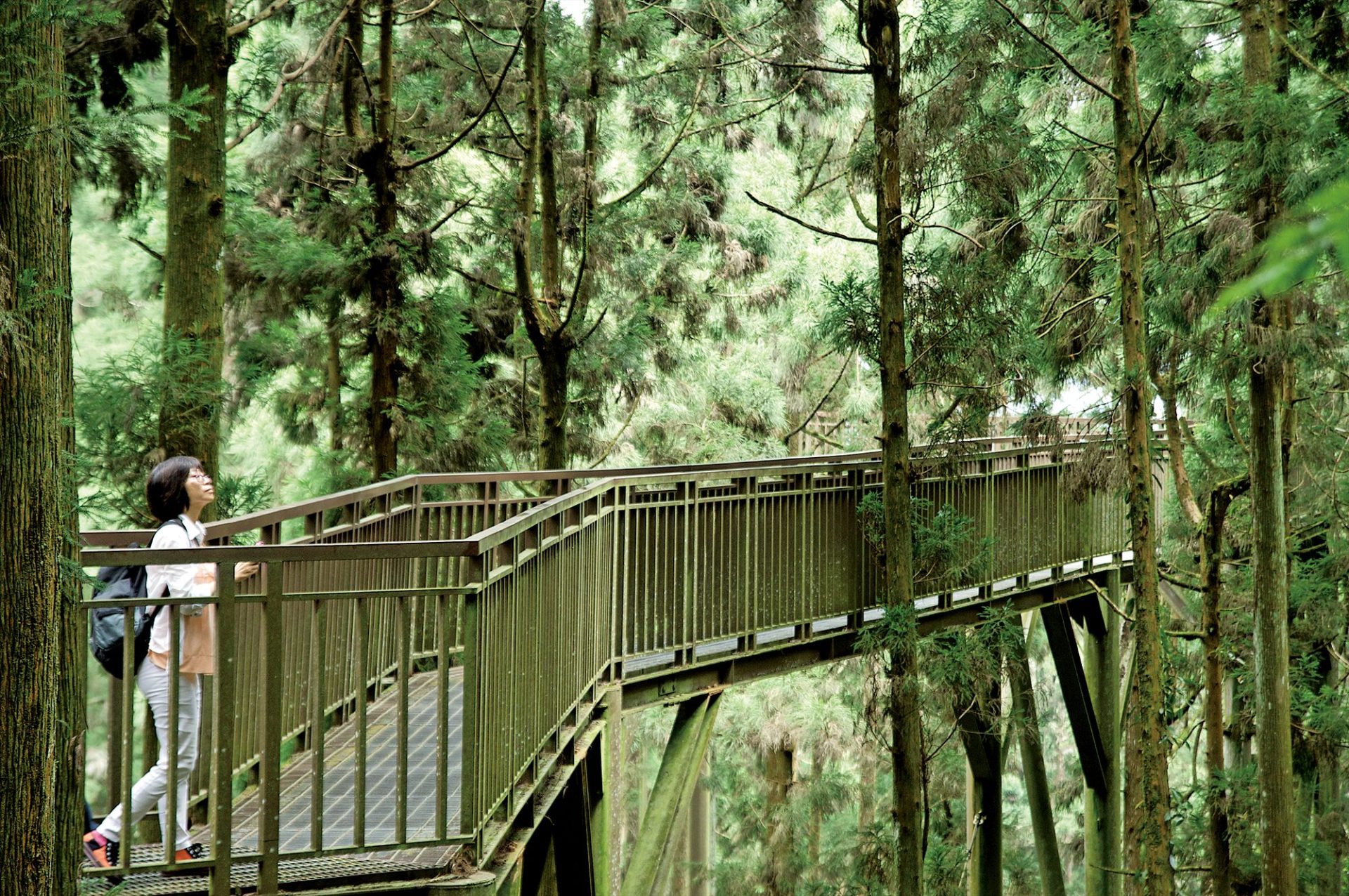 霧裡藏城堡!溪頭米堤大飯店讓人誤闖歐洲森林,連空氣都在放假