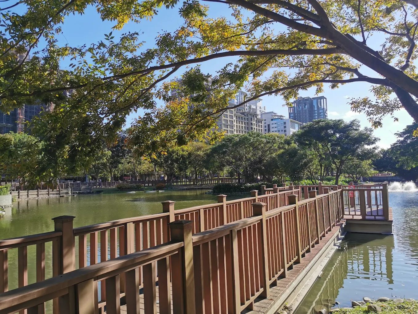 規劃完善且平整的環湖木棧道，是市民慢跑散步的首選地點