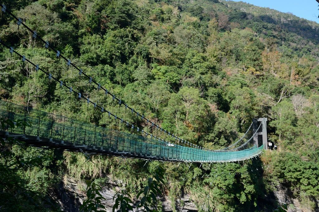 瓦拉米步道的綠色隧道讓人身心放鬆