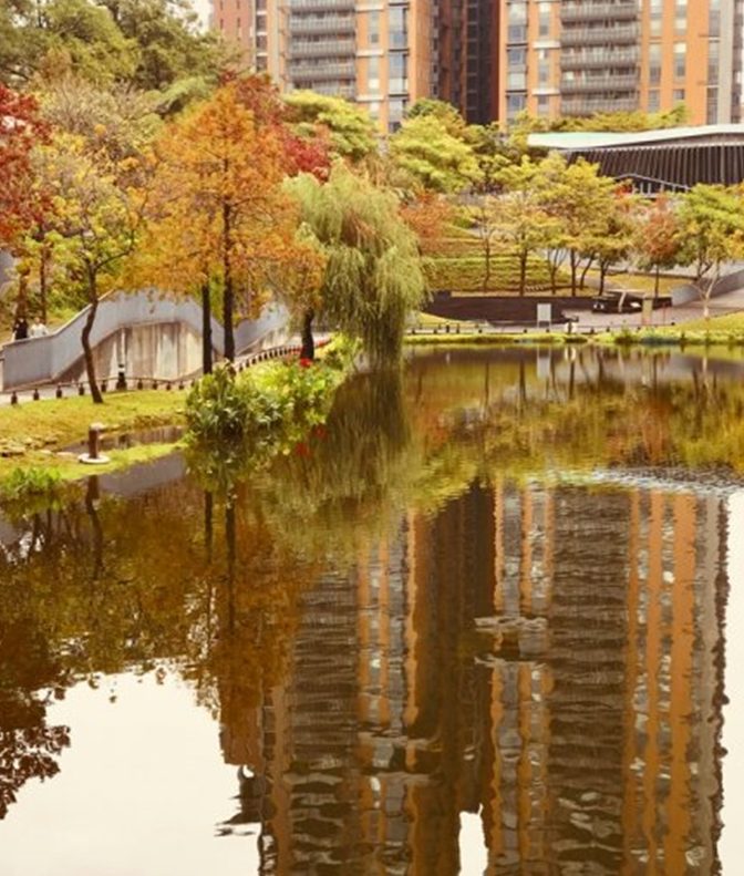 不用人擠人就可以輕鬆拍出楓葉網美點 重點還不用出國喔 教你拍出偽日式風(楓)