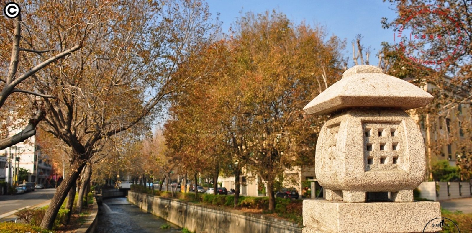 不用人擠人就可以輕鬆拍出楓葉網美點 重點還不用出國喔 教你拍出偽日式風(楓)