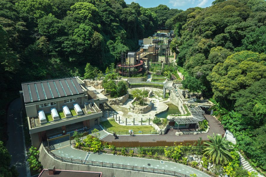 周末衝一波 不用忍受東京大阪的擁擠 飛機咻一下就到了 更厲害的是機場到市區只需要15分鐘