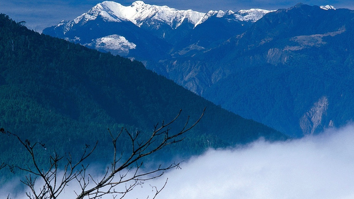 當霧氣散開,山路閃著光|發現太平山見晴懷古步道的隱秘之美