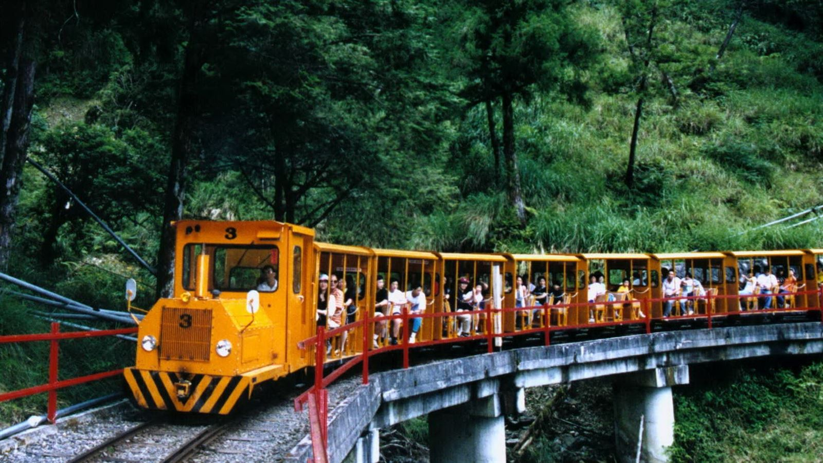 宜蘭太平山蹦蹦車全線通車！坐上小火車看雲海與檜木森林