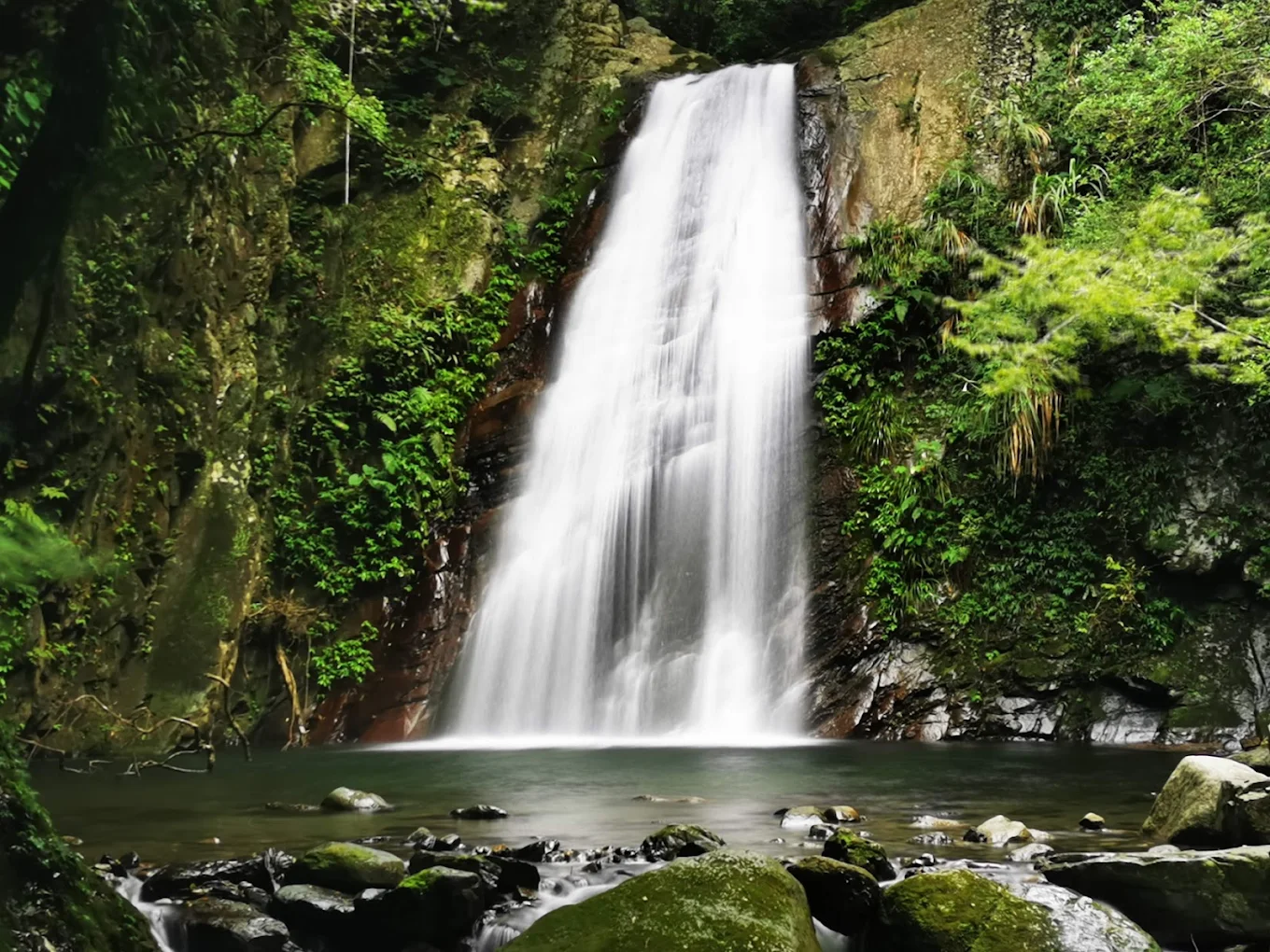 🌿裡埔瀑布（老鷹溪瀑布）｜尖石山林裡的水簾秘境，輕鬆就能到達的天然仙境