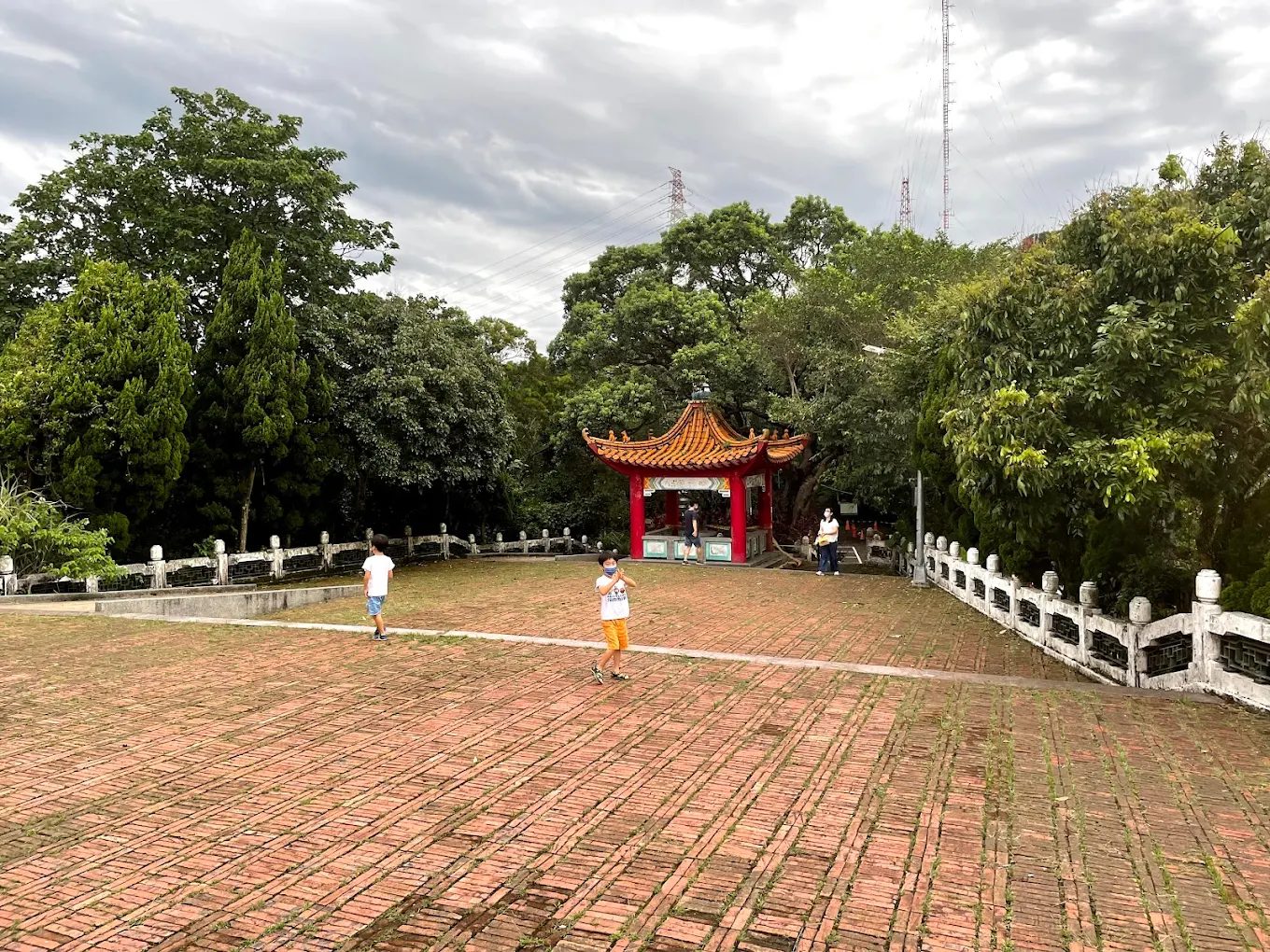 🌏從海到山、從森林到雲端｜探索台灣最經典的四條登山步道
