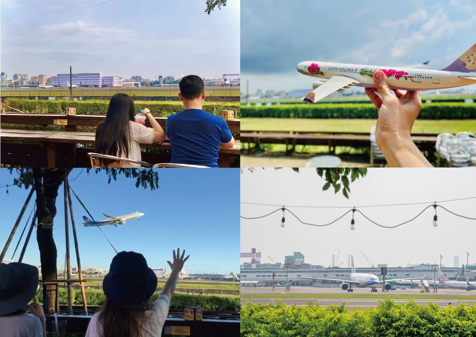 🌅落羽松 × 飛機光影 × 羊駝微笑｜高雄淨園農場的療癒一日，拍照控別錯過！