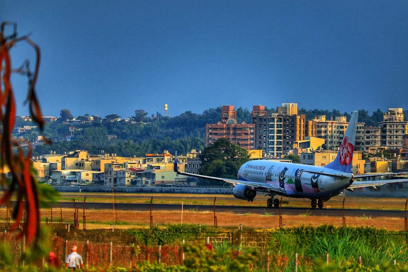 🌅落羽松 × 飛機光影 × 羊駝微笑｜高雄淨園農場的療癒一日，拍照控別錯過！