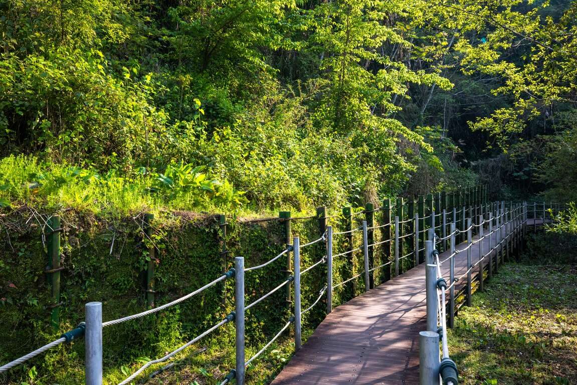 雲頂天宮真的存在!梨山賓館一夜住進群峰之巔,推窗就是雲海仙境