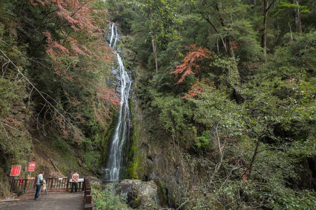 雲頂天宮真的存在!梨山賓館一夜住進群峰之巔,推窗就是雲海仙境