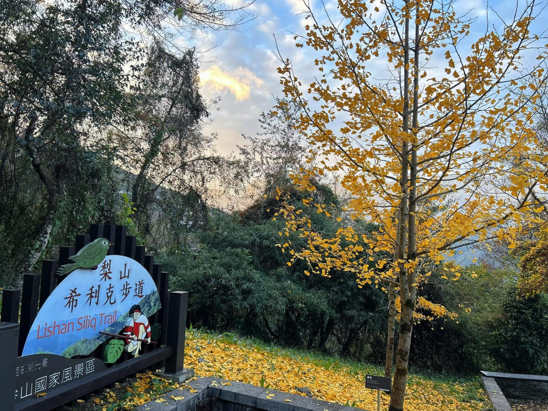雲頂天宮真的存在!梨山賓館一夜住進群峰之巔,推窗就是雲海仙境