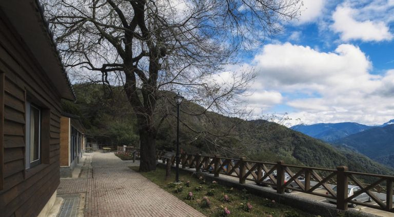 山在說話、霧在呼吸──觀霧山莊是一座會讓人忘記時間的旅宿