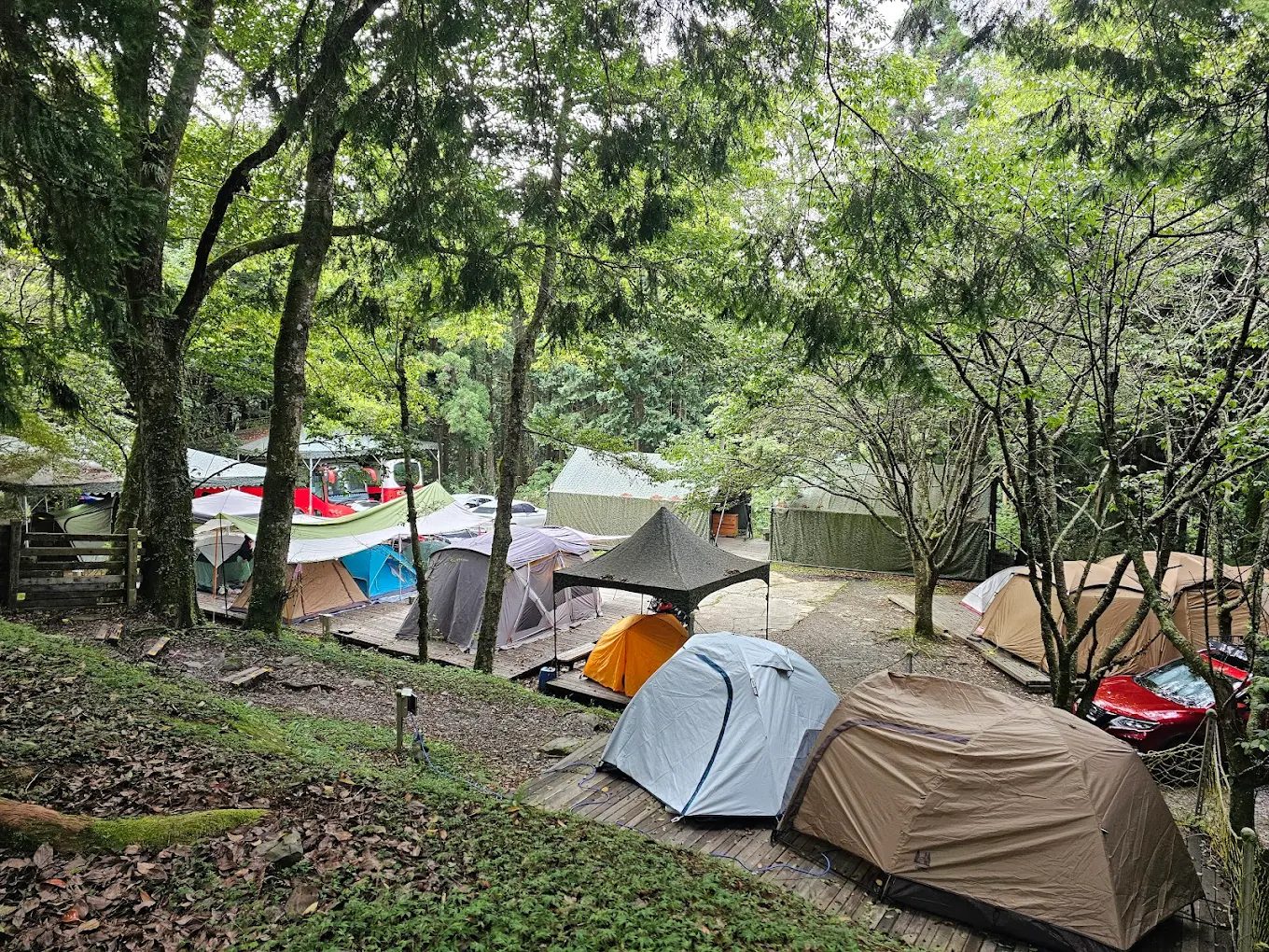 山在說話、霧在呼吸──觀霧山莊是一座會讓人忘記時間的旅宿