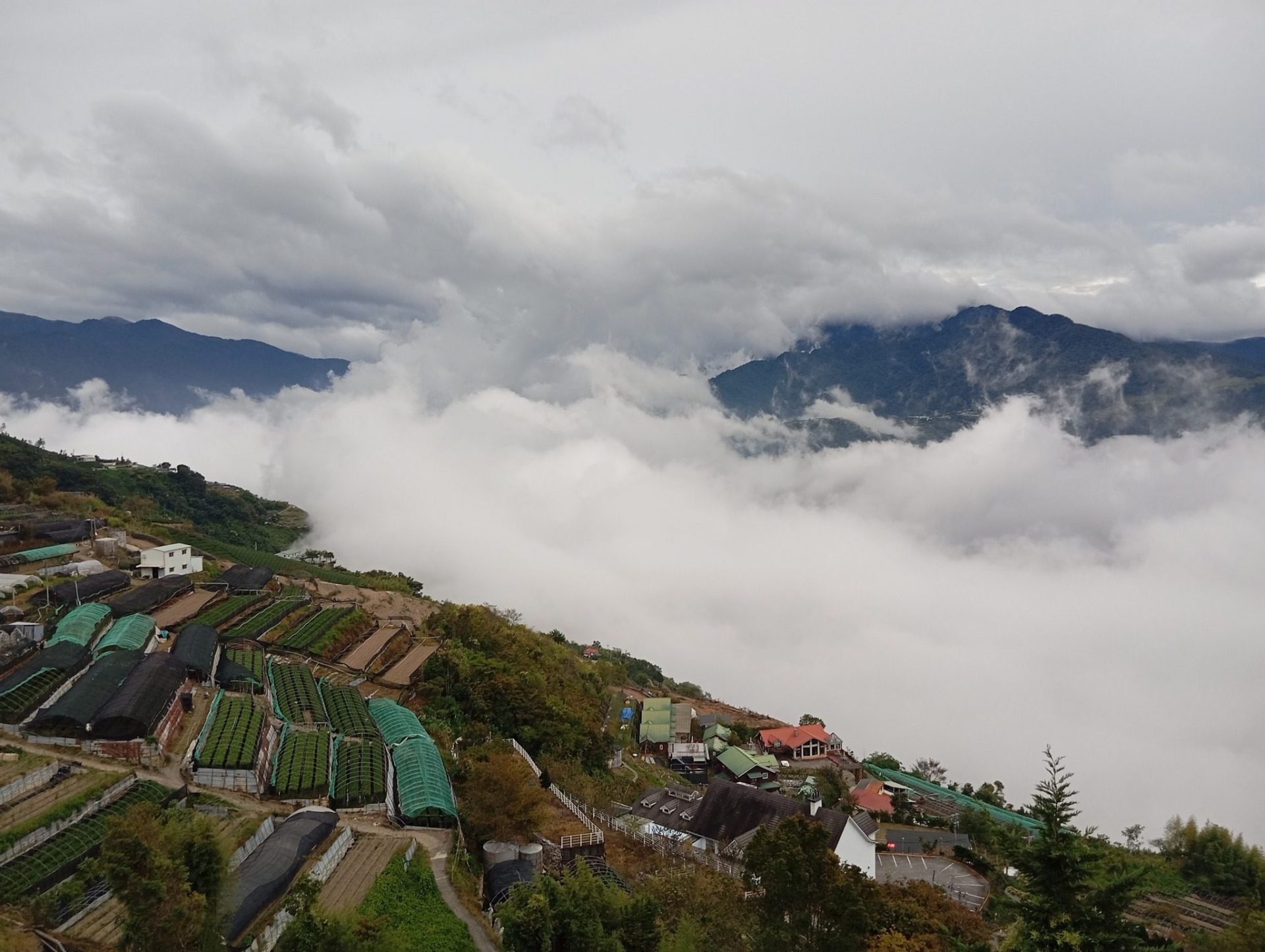 《清境31民宿》:被星空叫醒、被雲海包圍的早晨——那一刻你會忘記世界的喧囂