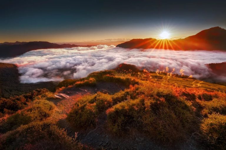 🏔️ 從海到山、從森林到雲端｜探索台灣最經典的登山步道