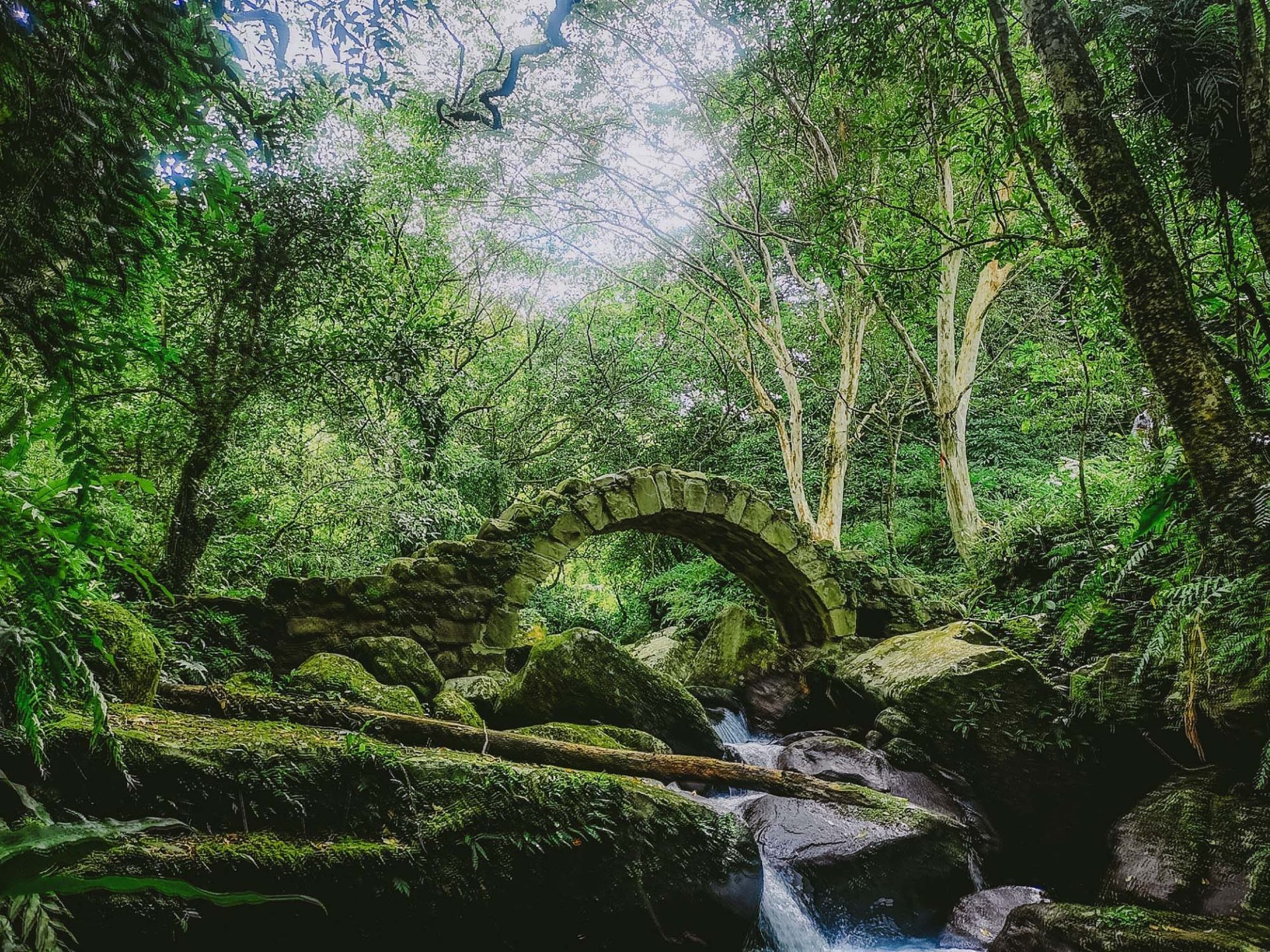 當火車開進山的心臟：三貂嶺步道，一條必靠雙腳抵達的祕境