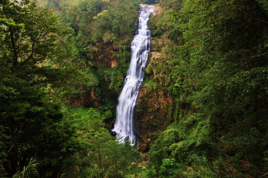 相機先吃，人才跟上｜杉林溪花卉中心到松瀧岩的顏色路線