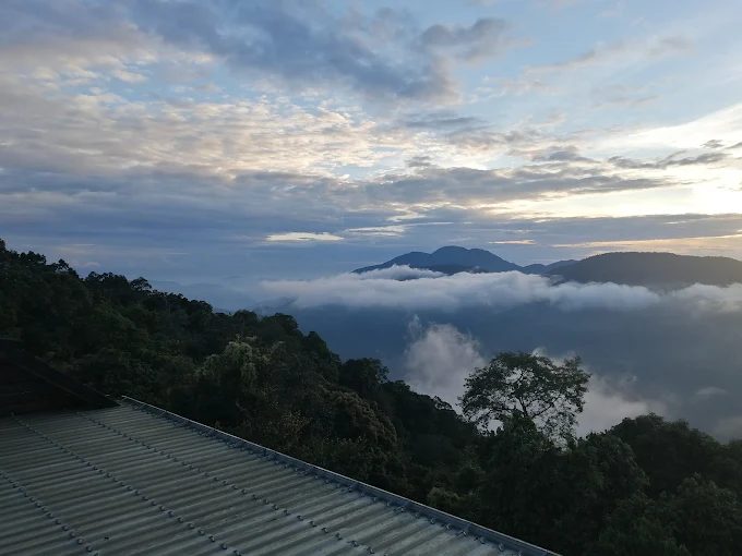 在清境的星空下入眠，讓山風與雲海作伴，當日出喚醒山谷｜在清境31民宿遇見星光與靜謐