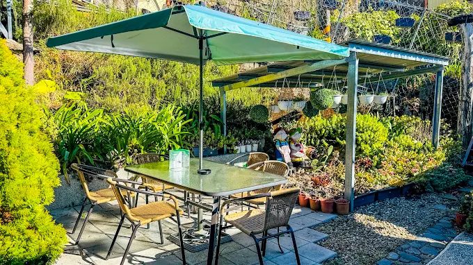 在清境的星空下入眠，讓山風與雲海作伴，當日出喚醒山谷｜在清境31民宿遇見星光與靜謐