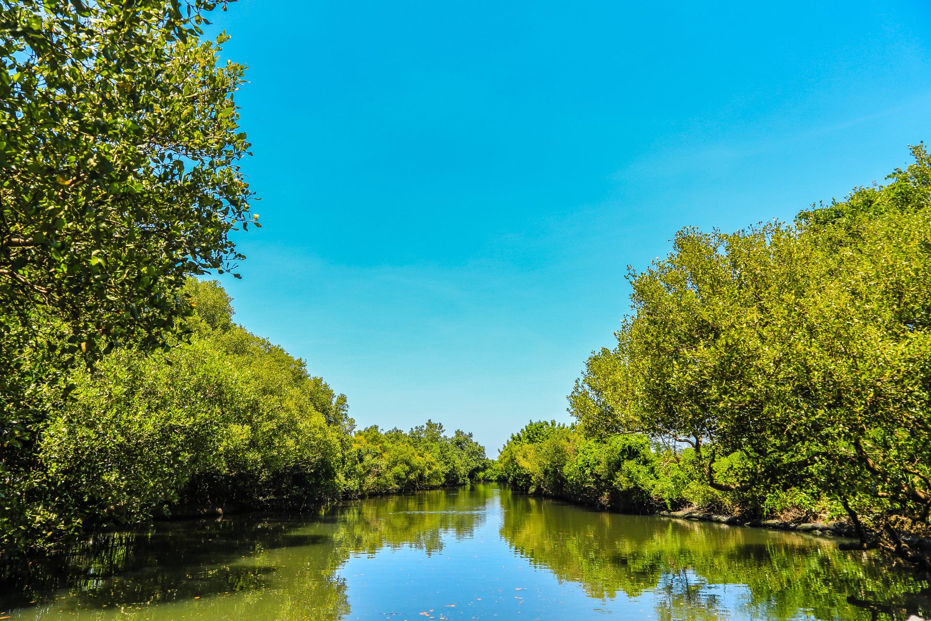 絕美四草綠色隧道水上冒險