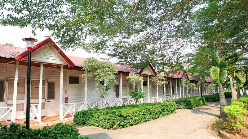 走馬瀨農場的全方位旅遊指南｜最佳體驗與美味推薦