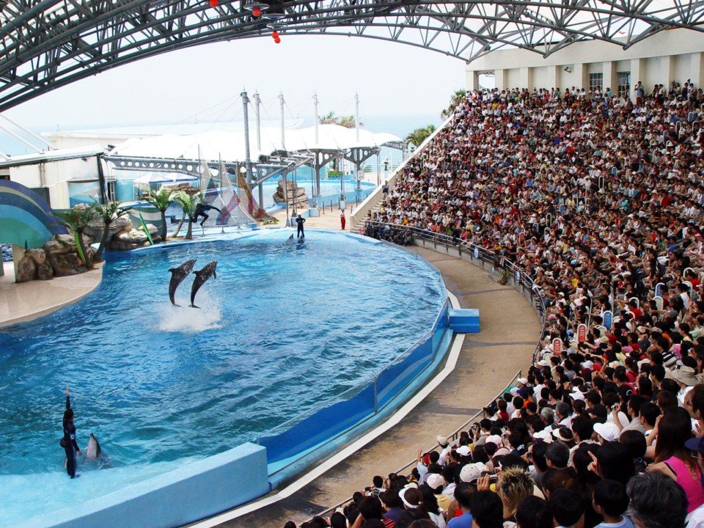 遠雄海洋公園全攻略：海豚互動、海獅表演與親子遊樂推薦