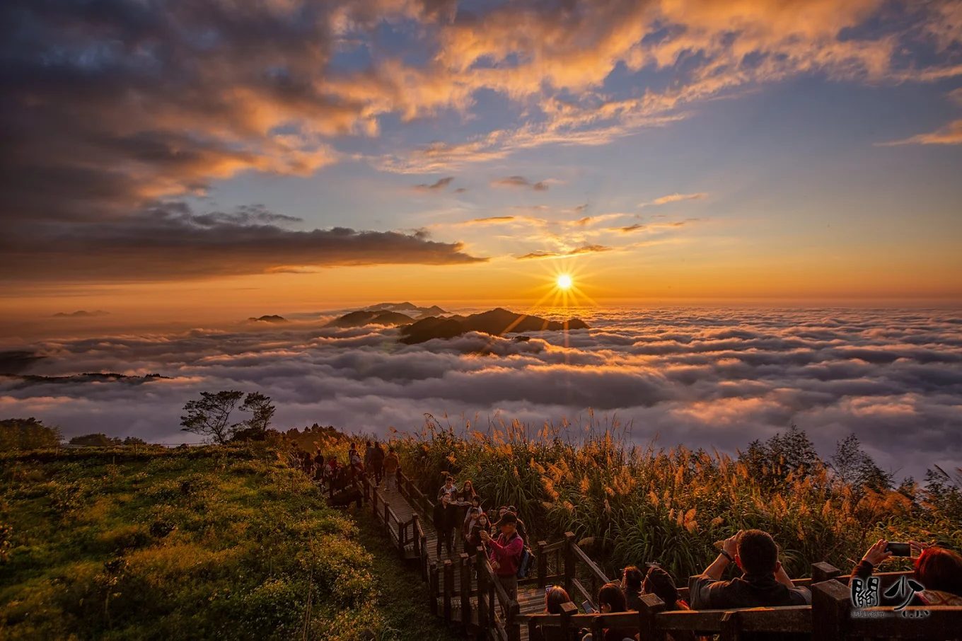 🌄 從海到山、從森林到雲端｜探索台灣最經典的四條登山步道